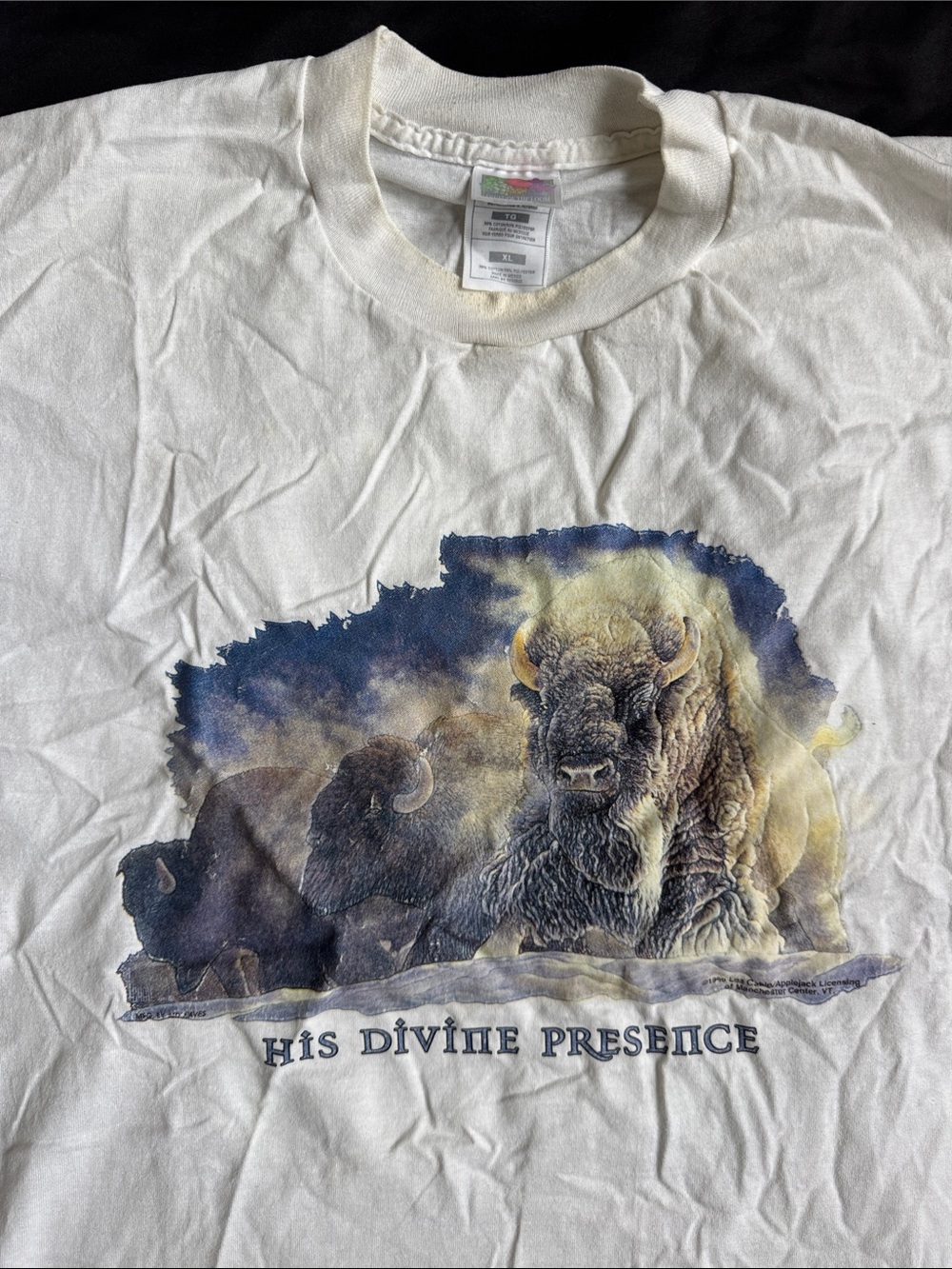 90s Single Stich White Graphic T-Shirt "His Divine Presence" with Buffalo Design